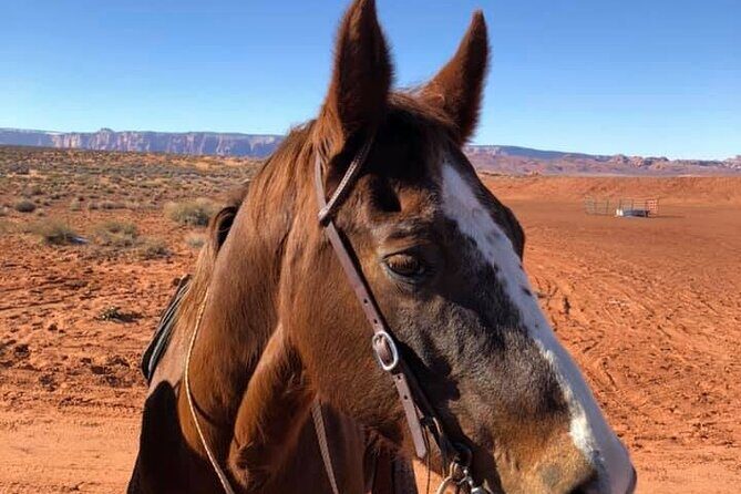 1-Hour Page Horseshoe Bend Trail Ride - Weather and Timing: The Real-Life Catch