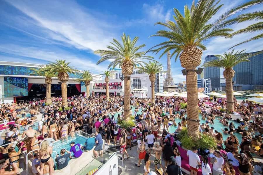#1 Vegas Pool Crawl with Party Bus, Free Drinks & VIP Entry - Key highlights to look for