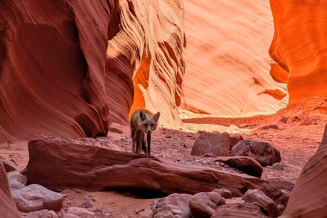 Antelope Canyon Kayak and Hike Slot Canyon - How the group size affects your day