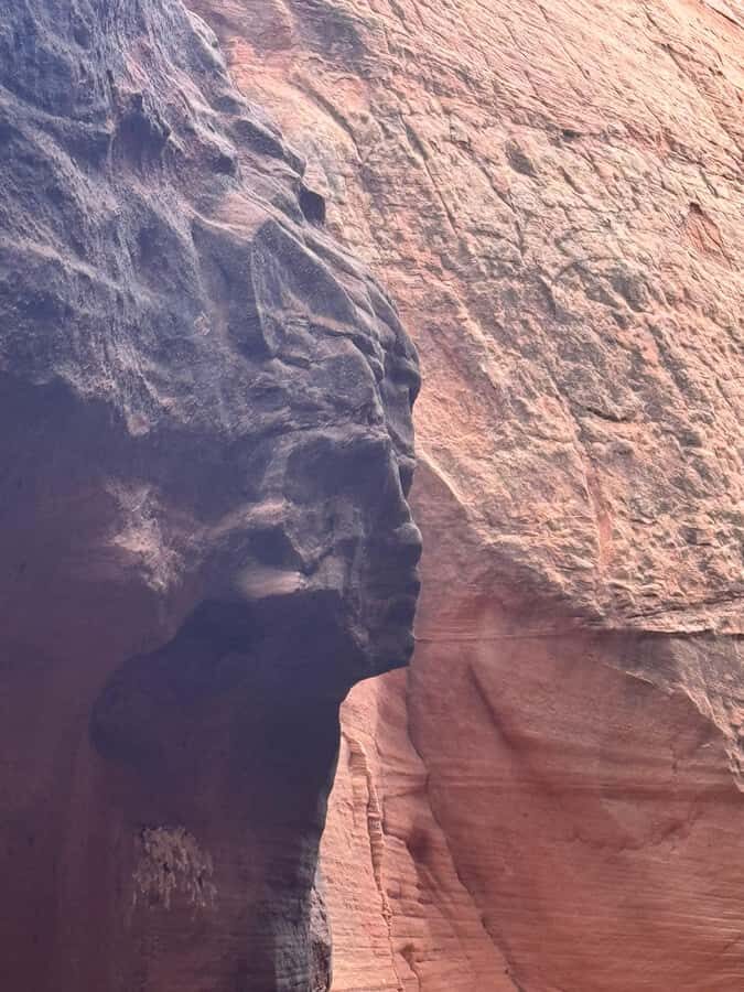 Antelope Valley: Ligai Si Anii Canyon Hiking Tour - The guide experience: stories, pacing, and local context