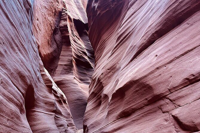 Antelope Wind Canyon Slot Tours - The cathedral moment: when the canyon opens to the sky