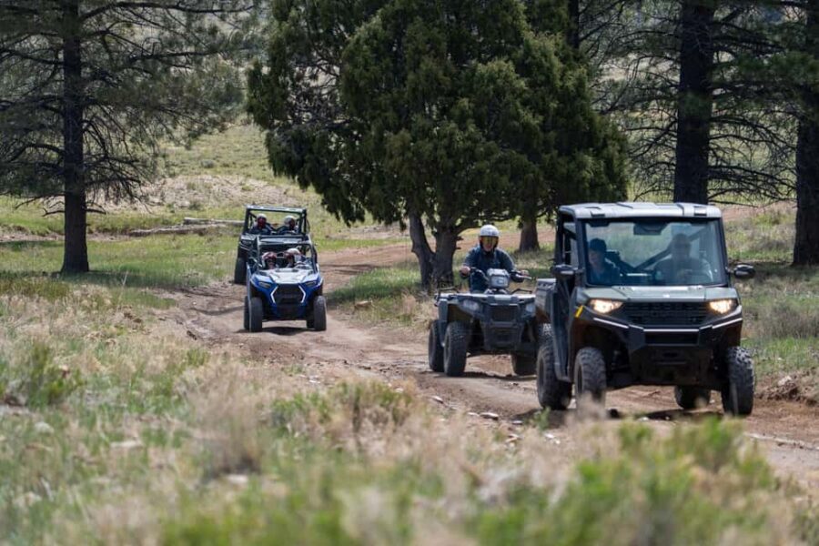 Bryce Canyon City Guided ATV/RZR Tour - Price: $140 per Vehicle Up to 3 Riders, and What That Buys You