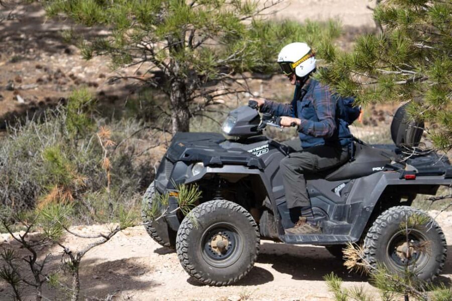 Bryce Canyon City Guided ATV/RZR Tour - The Guide Makes It: Brian, Jerry, and Marty Energy