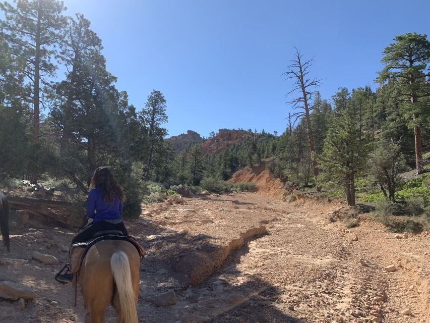 Bryce Canyon City: Horseback Riding Tour in Red Canyon - The Guide Factor: More Than Pointing Out Rocks