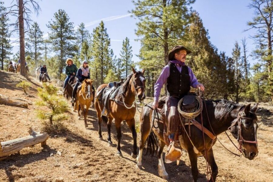 Bryce Canyon City: Horseback Riding Tour in Red Canyon - Red Canyon and Losee Canyon: What You’re Actually Seeing