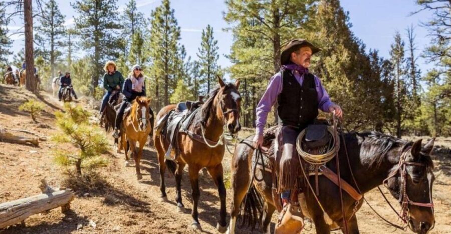 Bryce Canyon City: Horseback Riding Tour in Red Canyon - Booking Fit: Who Should Choose This Tour