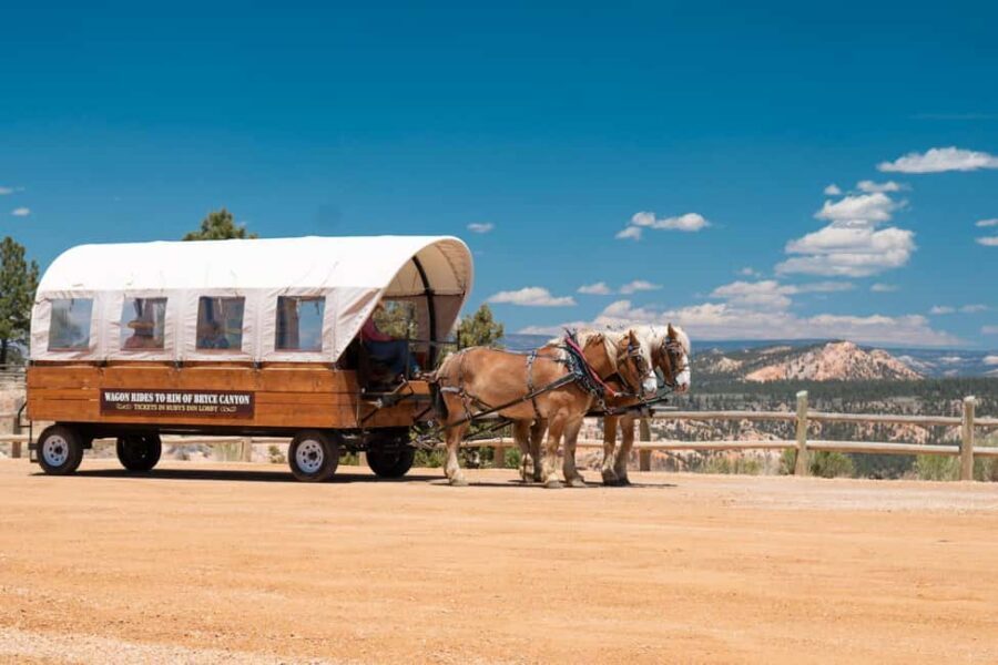 Bryce Canyon City: Wagon Ride to the Rim of Bryce Canyon - Tropic Ditch Waterfalls in Summer, Wildlife Chances in Spring and Fall