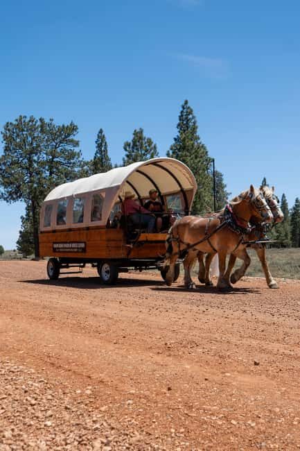 Bryce Canyon City: Wagon Ride to the Rim of Bryce Canyon - Check-In at 26 S Main St and Getting Settled on the Wagon