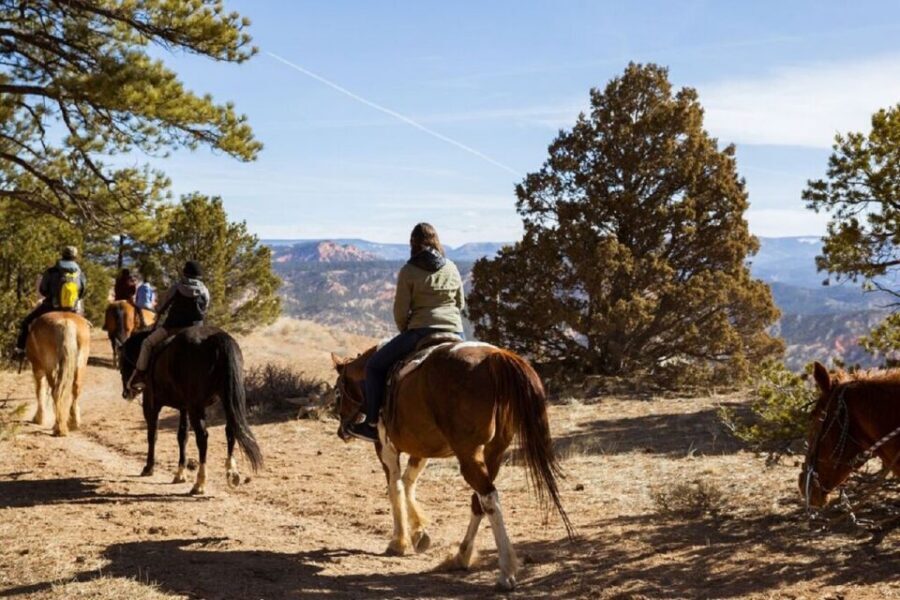 Bryce Canyon: Horseback Ride in the Dixie National Forest - Key Points That Make This Ride Worth It