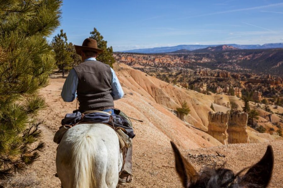 Bryce Canyon: Horseback Ride in the Dixie National Forest - Bristlecone Pines and Quiet Wildlife Moments You Can Actually Notice