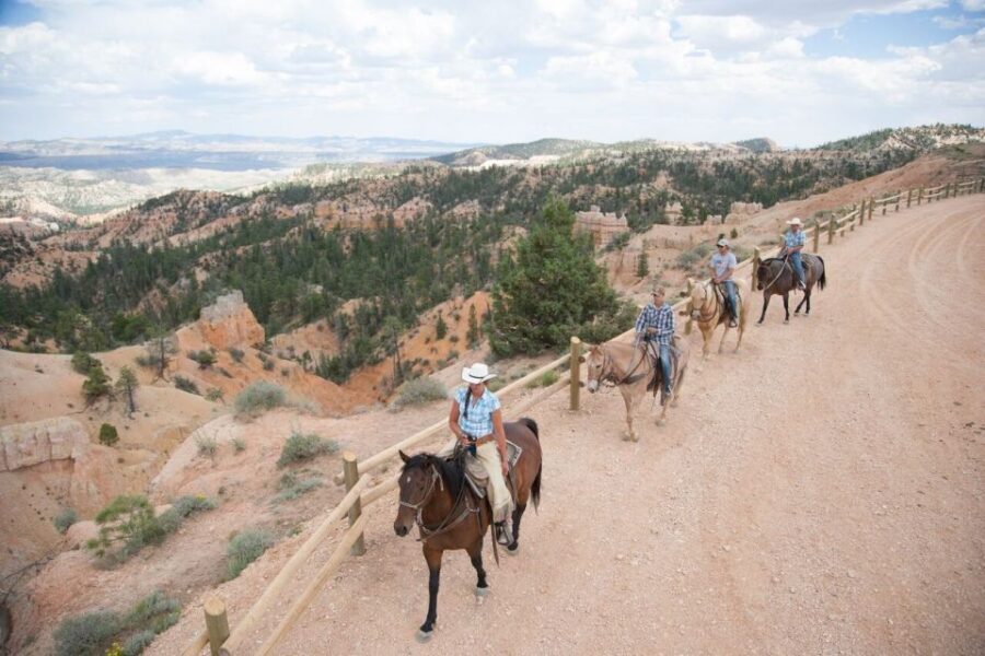 Bryce Canyon: Horseback Ride in the Dixie National Forest - Price and Value: Is $95 for 90 Minutes a Good Deal?