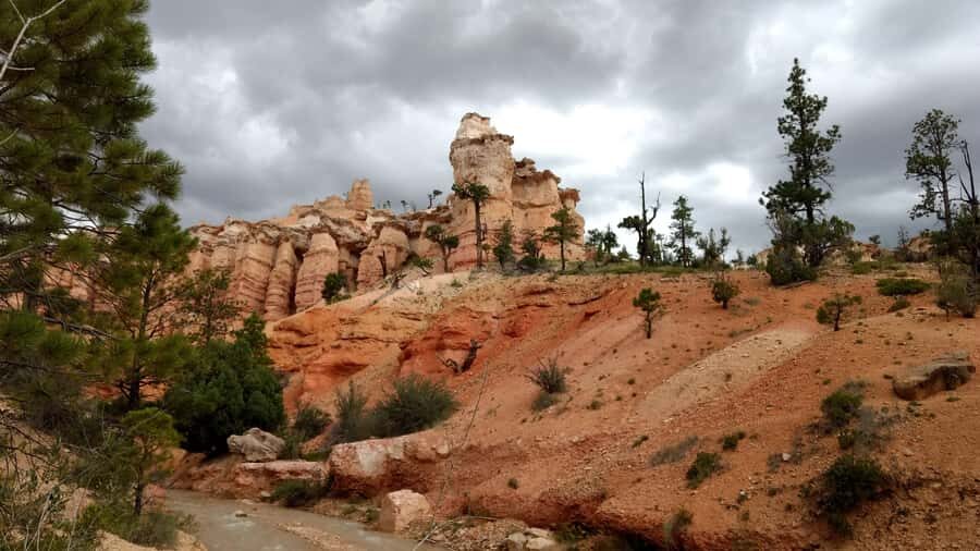 Bryce Canyon National Park Hiking Experience - Meeting point rules that keep your day smooth (and sane)