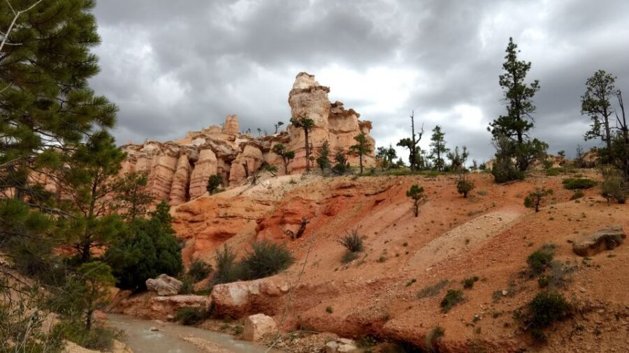 Bryce Canyon National Park Hiking Experience - What you’ll see: pink crested amphitheaters and hoodoo-filled canyons