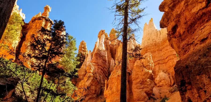 Bryce Canyon National Park Hiking Experience - Your hike length, pace, and altitude changes (plan around these)