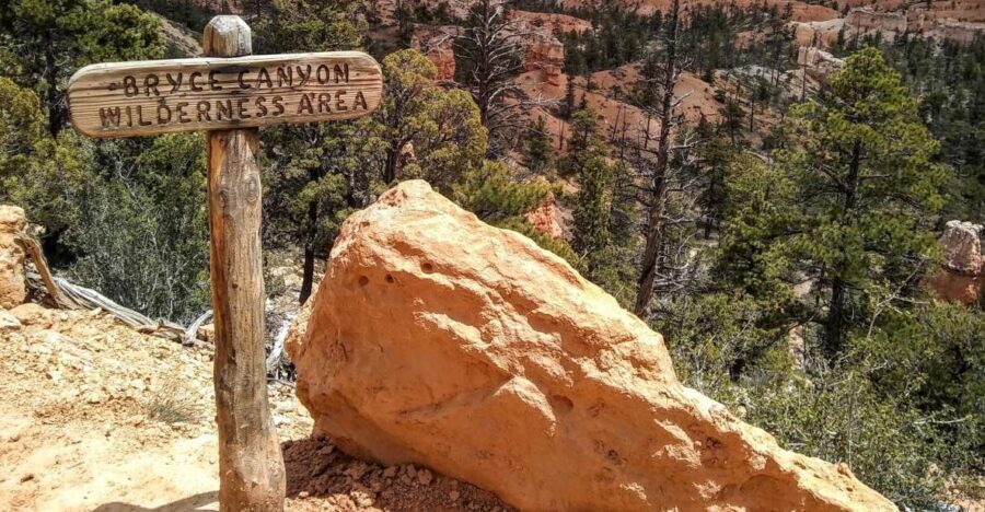 Bryce: Guided Sightseeing Tour of Bryce Canyon National Park - Fairyland Canyon First: A Short Walk With a Long View of Time