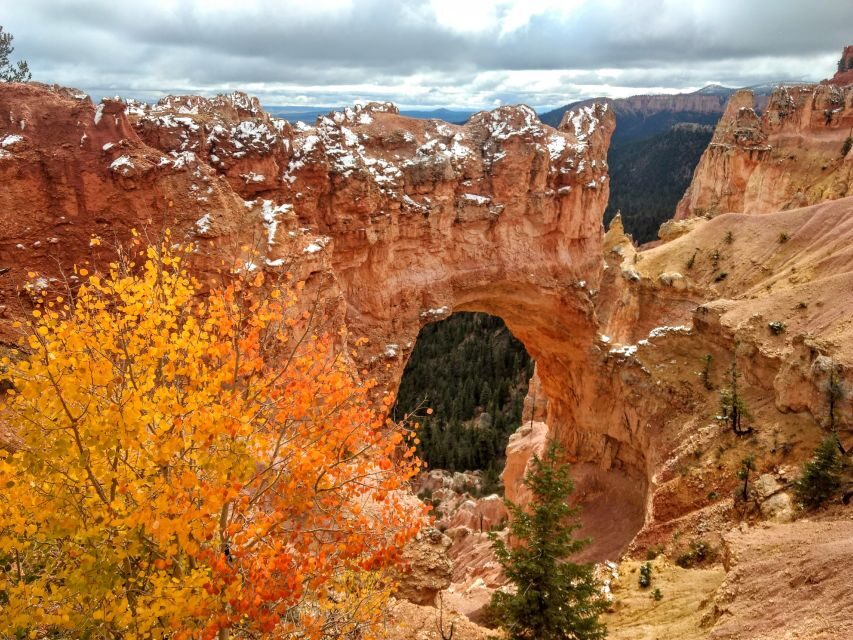 Bryce: Guided Sightseeing Tour of Bryce Canyon National Park - Getting Started: Meet Up Outside the Park (Read This Part)