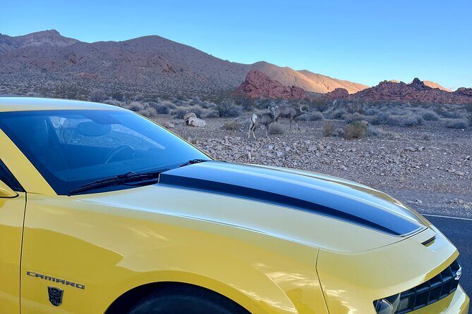 Bumblebee Camaro Tour: Transformers Movie Locations - The Bumblebee Camaro factor: photos, presence, and “movie feel”