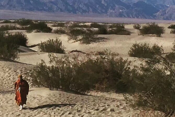 Death Valley Small Group Luxury SUV Day Tour - Rhyolite ghost town: Gold Rush stories beyond the viewpoints