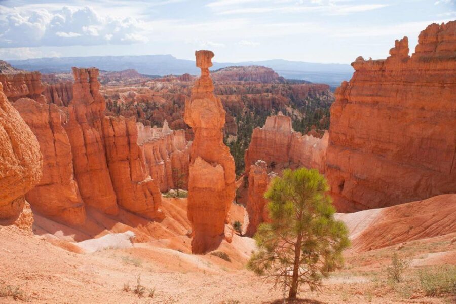 From Las Vegas: Bryce Canyon and Zion Park Tour with Lunch - Zion National Park: Red Cliffs and the Virgin River Walk