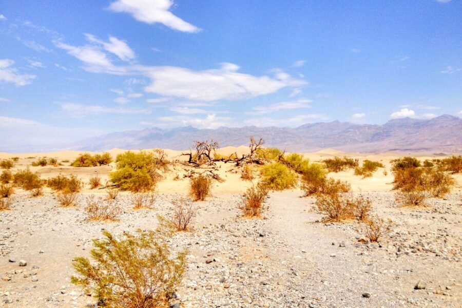 From Las Vegas: Ghost Town Wild West Adventures Day Trip - One-Day Wild West Stops From the Las Vegas Strip