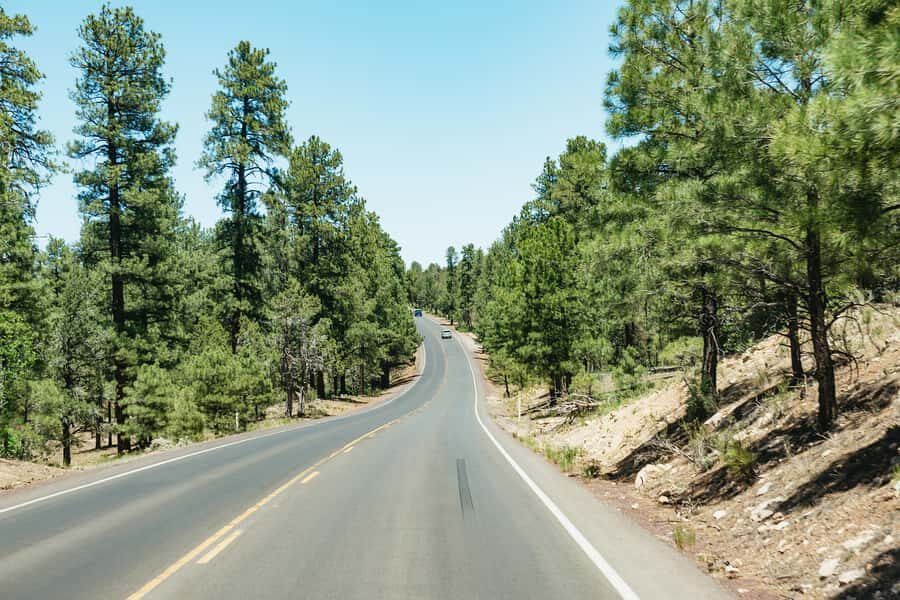 From Las Vegas: Grand Canyon South Rim Day Trip - Who this Grand Canyon South Rim day trip suits best