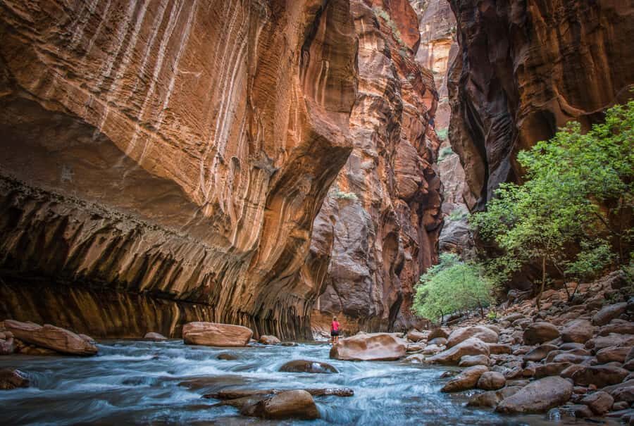 From Las Vegas: Zion National Park Day Trip - The value of a Zion day trip from Las Vegas