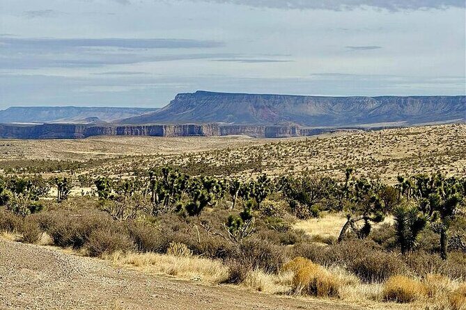 Grand Canyon Helicopter and Ranch Adventure by Luxury Vehicle - Grand Canyon helicopter: 20 minutes above and below the rim