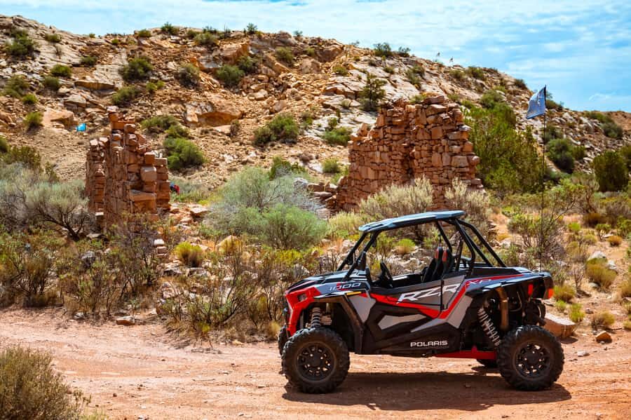 Greater Zion: Dinosaur Tracks in the Desert UTV Tour - The Main Event: Seeing Real Dinosaur Tracks Up Close