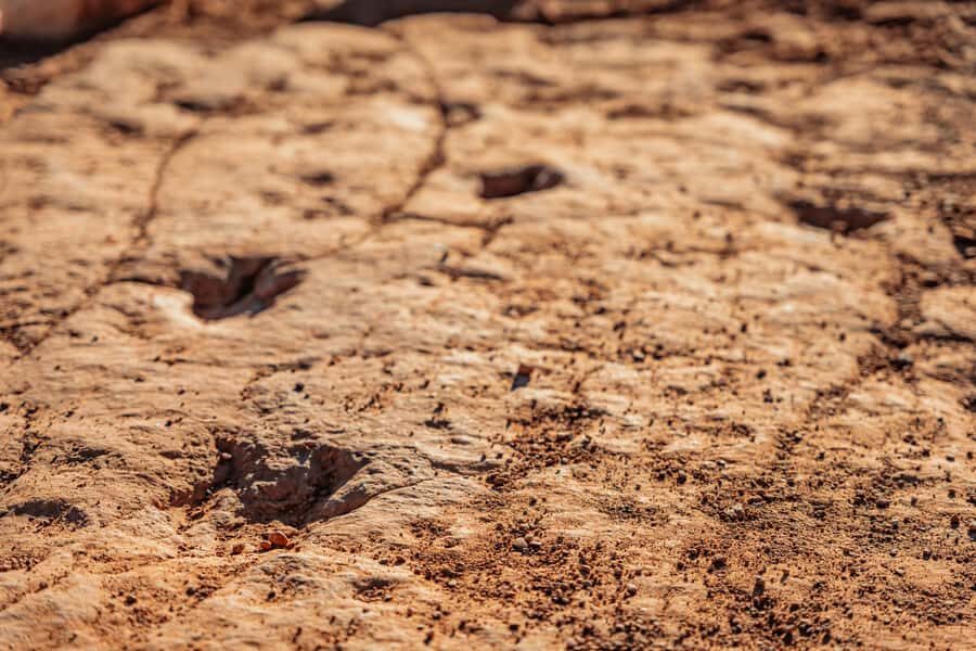 Greater Zion: Dinosaur Tracks in the Desert UTV Tour - The UTV Ride: Sandy Paths, Dunes, and Why the Vehicle Matters