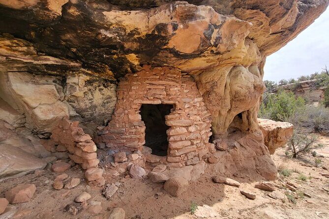 Half Day 4x4 UTV Tour of Bears Ears - Guide factor in the real world: Eli, Levi Nells, and Brock