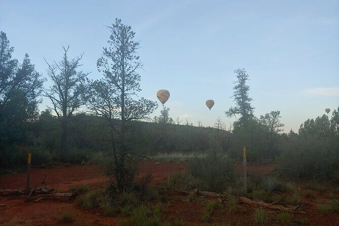 Half-Day Private Scenic Tour of Sedona - Price and logistics: what $205 buys you (and what it doesn’t)