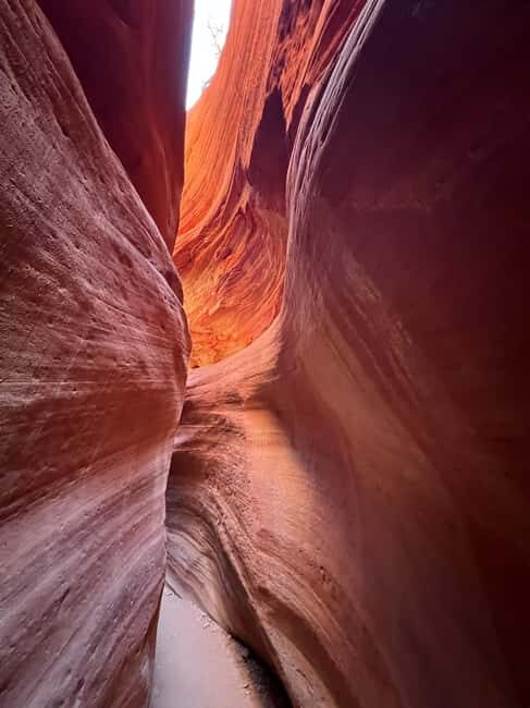 Kanab: Peekaboo Slot Canyon & Great Chamber Tour/Guided Hike - Great Chamber At Cutler Point: Sand Dunes With Afternoon Light