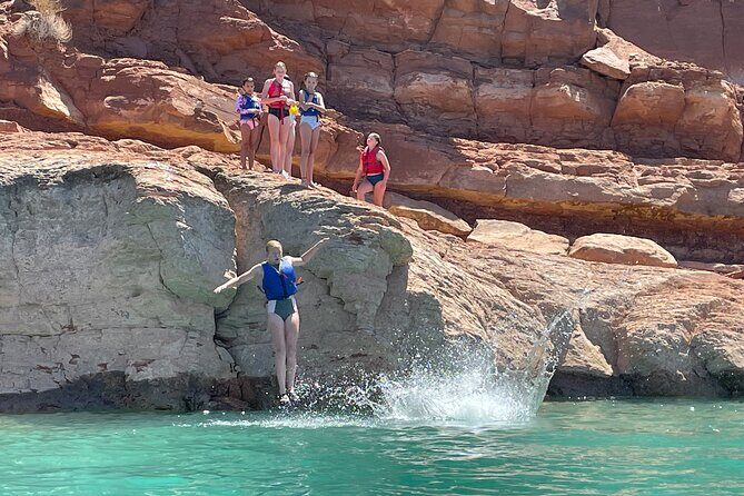 Kayak/SUP Tour: Birds, Beavers, Turtles, maybe even Cliff Jumping - Spotting beavers, turtles, and migratory birds: how to make it more than luck