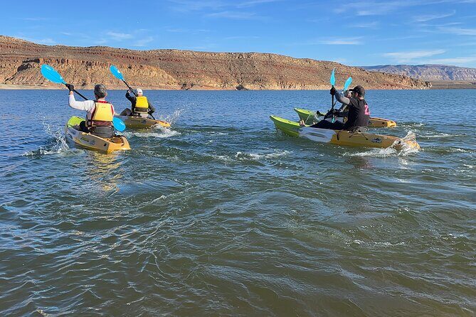 Kayak/SUP Tour: Birds, Beavers, Turtles, maybe even Cliff Jumping - Who this kayak/SUP tour suits best in southern Utah