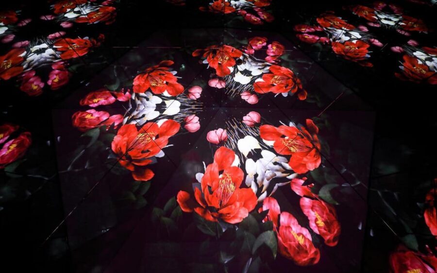 Las Vegas: Arte Museum Las Vegas Immersive Art Exhibition - Key things to know before you go