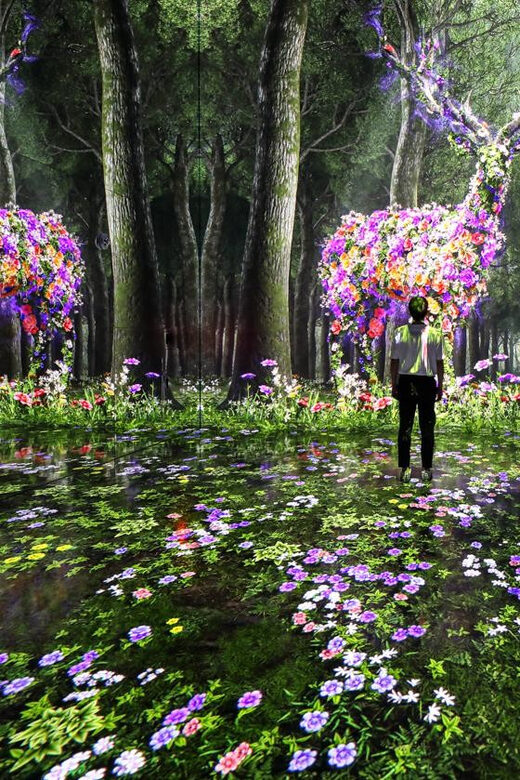 Las Vegas: Arte Museum Las Vegas Immersive Art Exhibition - The big question: is $50 good value for ARTE Museum?