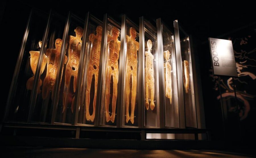 Las Vegas: BODIES | The Exhibition at the Luxor - The smoking and lifestyle lessons: why this exhibit hits harder than expected