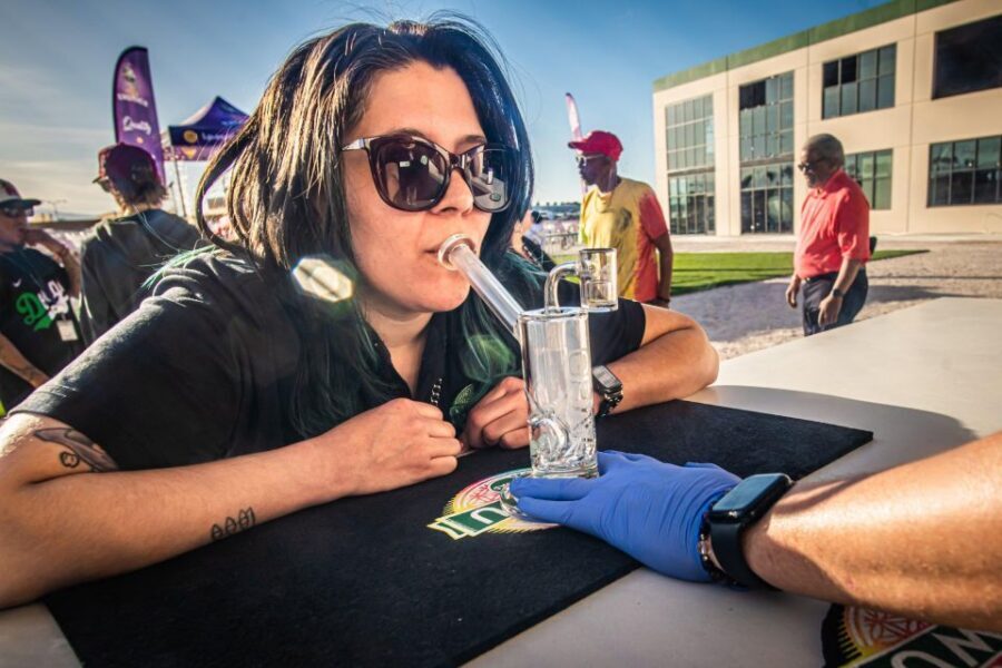 Las Vegas: Cannabis Tour with Weed Lounge & Party Bus - Weed lounge sampling on a moving Vegas night