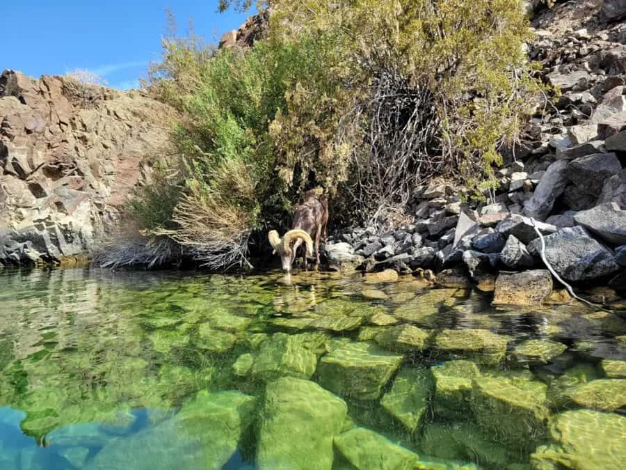Las Vegas: Emerald Cave Kayak Tour with Photos - Price check: is $140 worth it for 4 hours on the Colorado River?