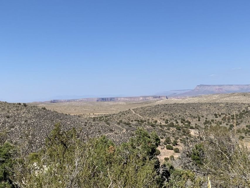 Las Vegas: Grand Canyon Helicopter West Rim Flight & Options - The drive through the Joshua Tree Forest before you fly