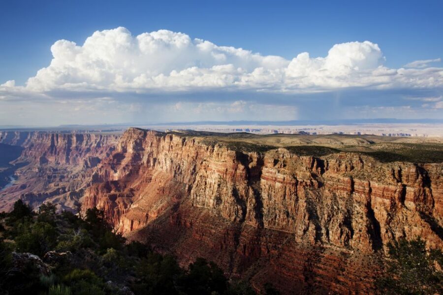 Las Vegas: Grand Canyon National Park Day Tour - Visitors Center lunch: where you reset before the viewpoints