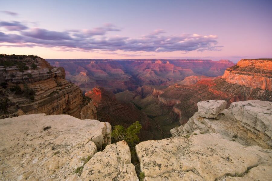 Las Vegas: Grand Canyon National Park Day Tour - The luxury coach: comfort that actually helps on a 14–15 hour day