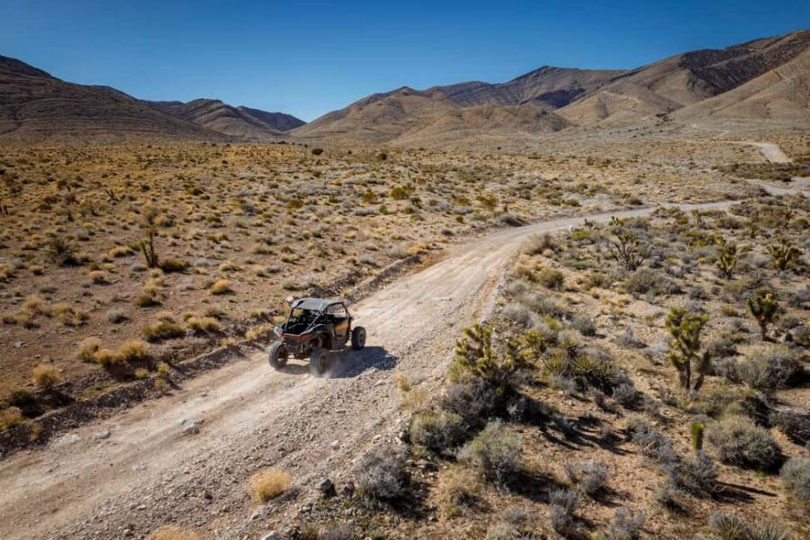 Las Vegas Mojave Off Road Adventure |Guided Tour-Let's Ride! - Key Things You’ll Notice on This UTV Tour