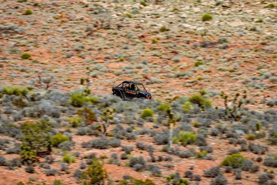 Las Vegas Mojave Off Road Adventure |Guided Tour-Let's Ride! - What’s Included vs. What You Bring
