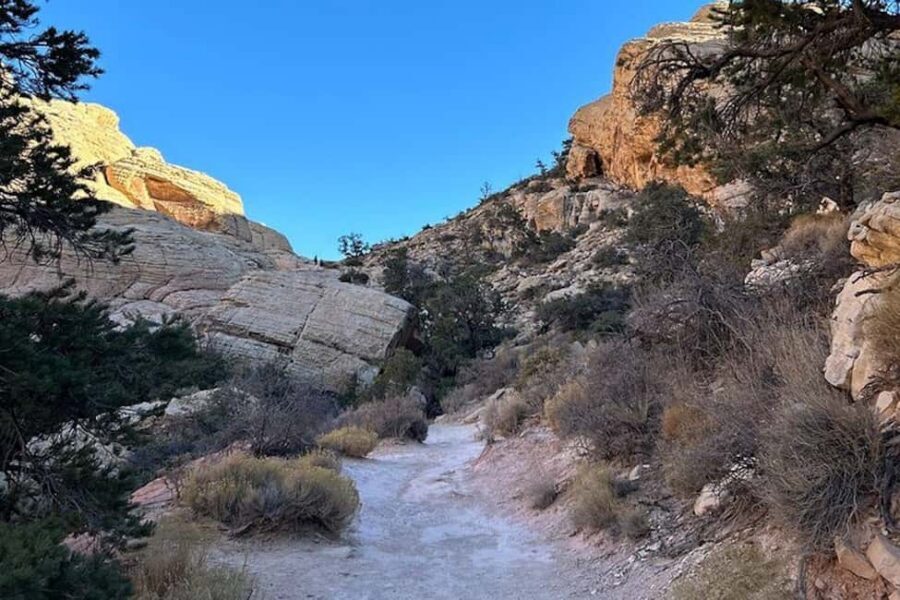Las Vegas: Red Rock Canyon Guided Hike with Pickup - What’s included: water, snacks, and the small comforts that matter