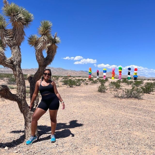 Las Vegas: Valley of Fire and Red Rock Canyon Day Trip - Final verdict: should you book the Valley of Fire and Red Rock Canyon day trip?
