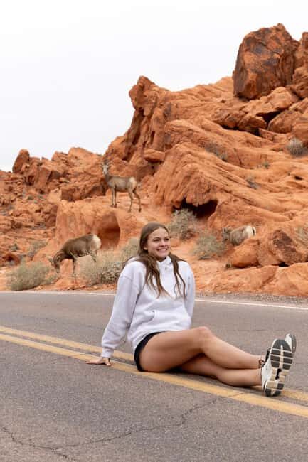 Las Vegas: Valley of Fire and Red Rock Canyon Day Trip - The sunrise start: why going early changes everything