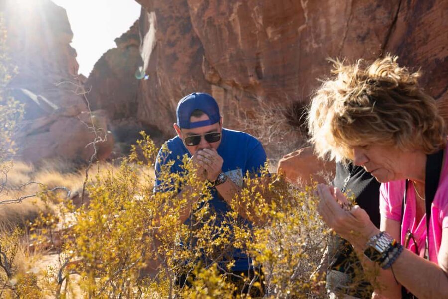 Las Vegas: Valley of Fire and Red Rock Canyon Day Trip - Atlatl Rock petroglyphs: history you can actually stand next to