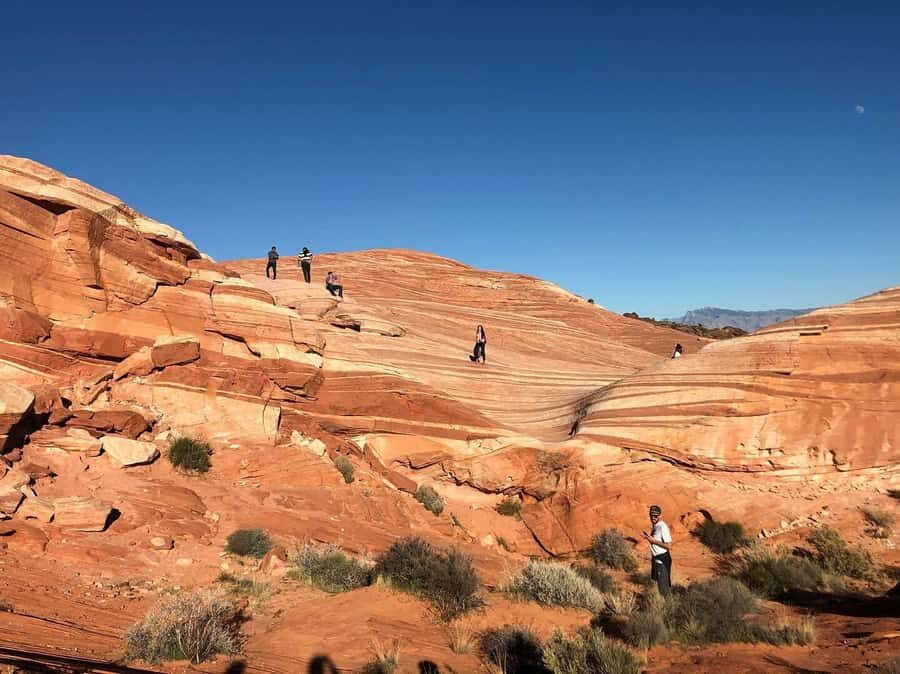 Las Vegas: Valley of Fire Half-Day Guided Hike with Pickup - A Half-Day Reset from the Las Vegas Strip