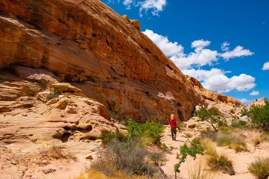 Las Vegas: Valley of Fire Half-Day Guided Hike with Pickup - Pickup, Small Group, and What You Actually Get